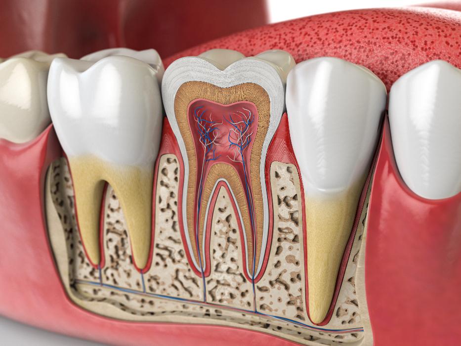 root canal treatment boulder co
